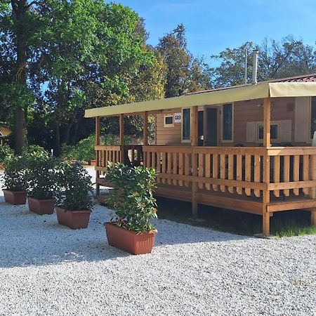 Mobile Home Viareggio - Including Airco- Camping Paradiso - G008 Εξωτερικό φωτογραφία